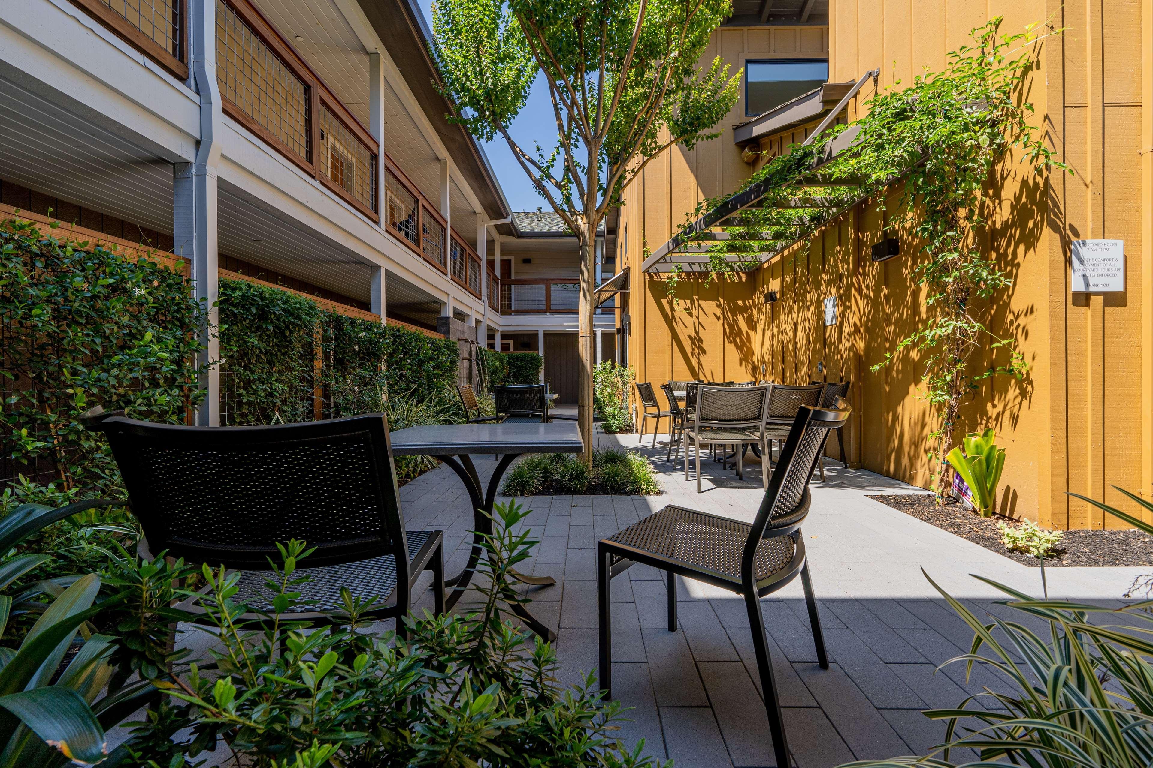 Best Western Plus Stevenson Manor Calistoga Ngoại thất bức ảnh